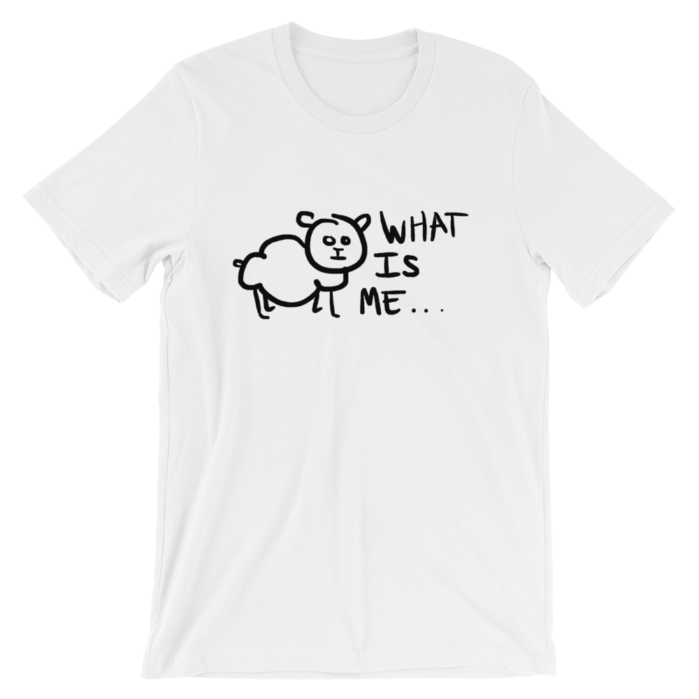 What is me? T-Shirt